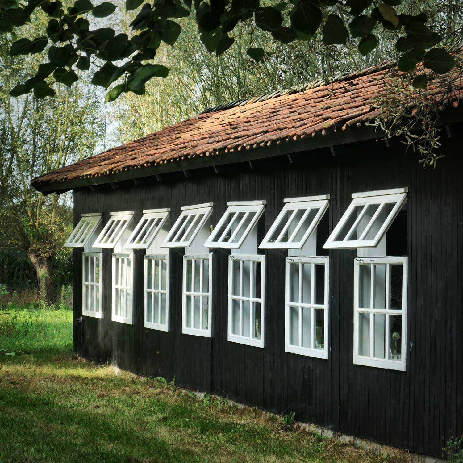 Palais-des-Poules-8
